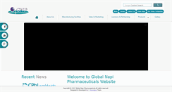 Desktop Screenshot of globalnapi.com